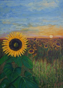 #44-b Camp de girasols