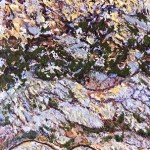 174Al voltant de La Magdalena-web
