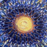 204Guardianes de la medicina de La Tierra-web