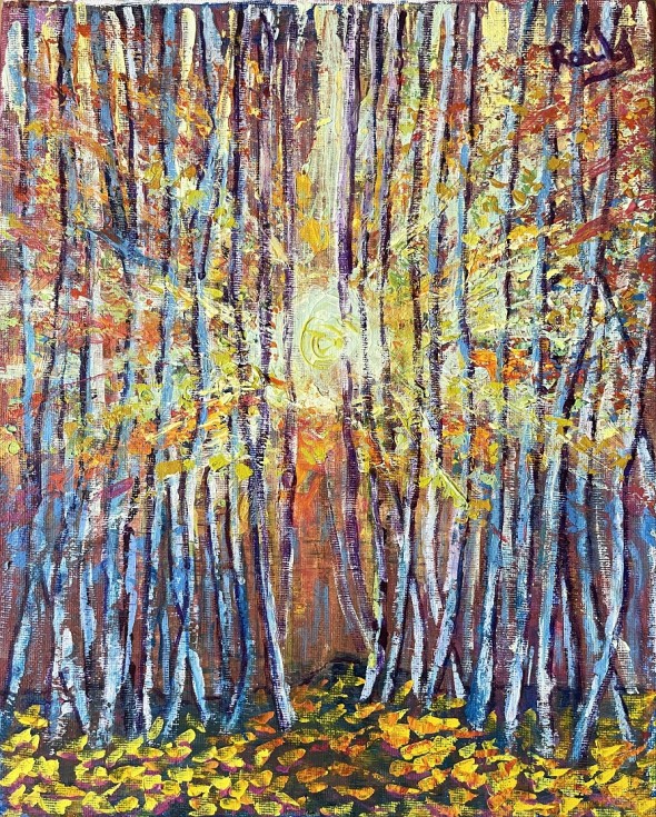 279Sueños semilla(1)