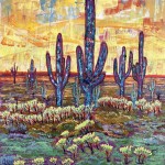 320Desierto de Sonora